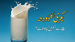 Bakri Ke Doodh Ke 100 Fawaid: Sehat Ke Liye Ek Qeemti Tohfa - بکری کے دودھ کے 100 فوائد