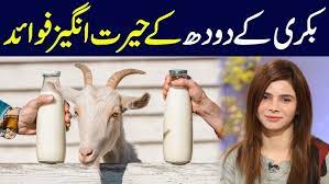 Bachon Ke Liye Bakray Ke Doodh Ke Fawaid: Kya Bakray Ka Doodh Bachon Ke Liye Faida Mand Hai? - بچوں کے لیے بکرے کے دودھ