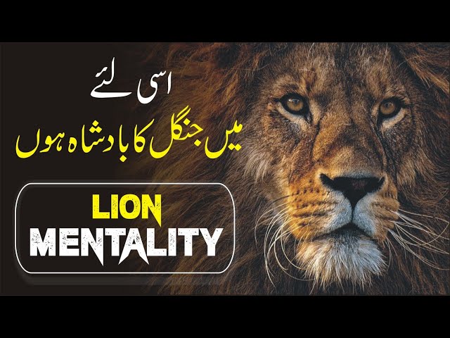 LION MENTALITY Powerful Life Changing Video urdu hindi | Inspirational article by Haris khan