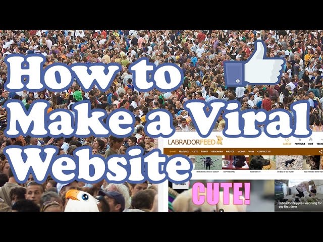 How to go viral on WordPress?