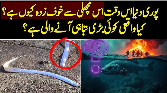 Oarfish Mystery: Why This Fish is Feared Worldwide? Urdu / Hindi