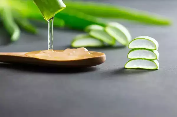 Aloe Vera Se Ganje Dhabo Par Baal Aane Ka Durust Tariqa - How Aloe Vera Helps Regrow Hair on Bald Spots