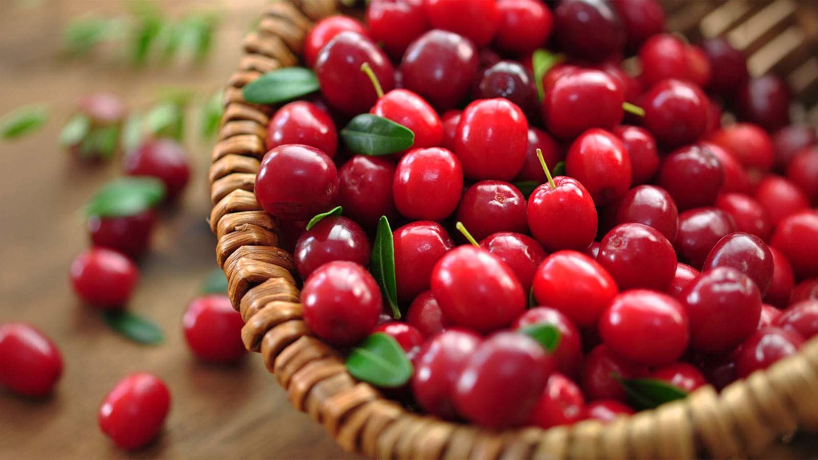 Cranberries Ke Sehatmand Faide: Aapki Zindagi Mein Inko Shamil Karne Ke 10 Ahem Wajaen - 10 Health Benefits Of Cranberries