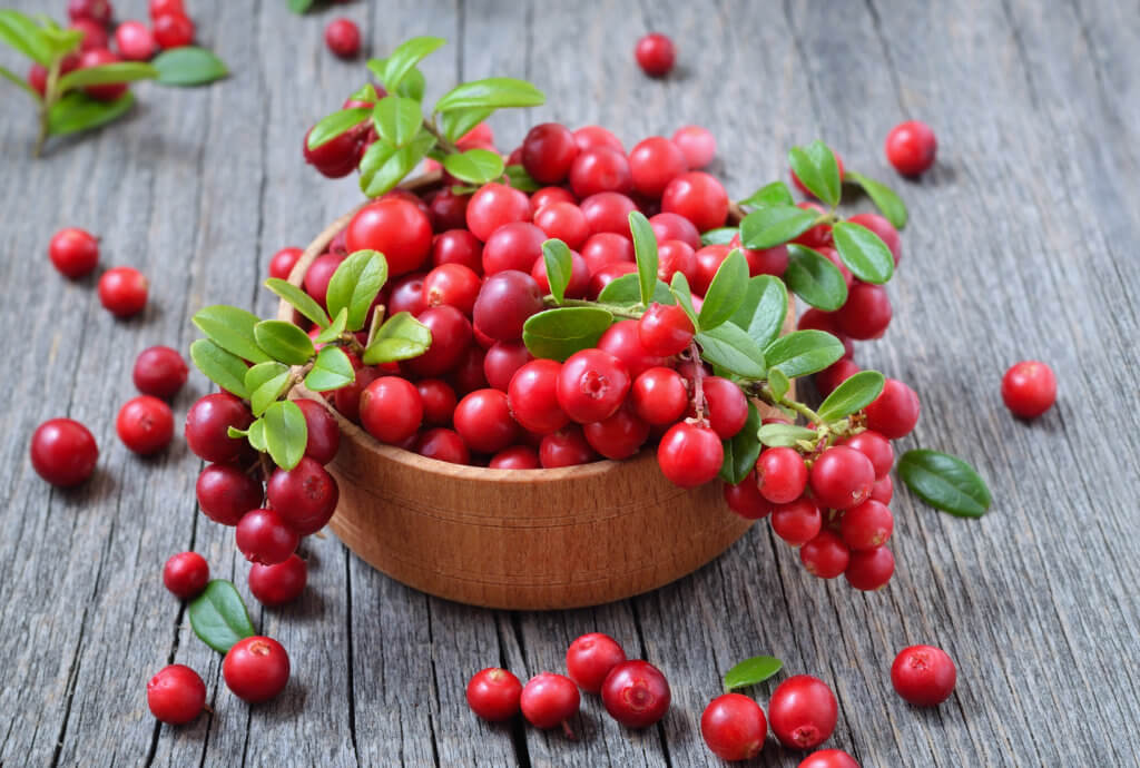 Rozana Kitni Cranberries Khani Chahiye? Sehatmand Fawaid Aur Dosage Ki Maloomat - How many cranberries to eat per day?