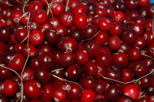 Crannberry ke Sehatmand Faide aur Kis Jism ke Liye Hai Muafid? - What organ is cranberry good for?