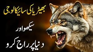 Wolf Mentality: Aap Ko Bhi Wolf Se Kya Seekhna Chahiye? - زندگی میں کامیابی حاصل کرنے کے لیے