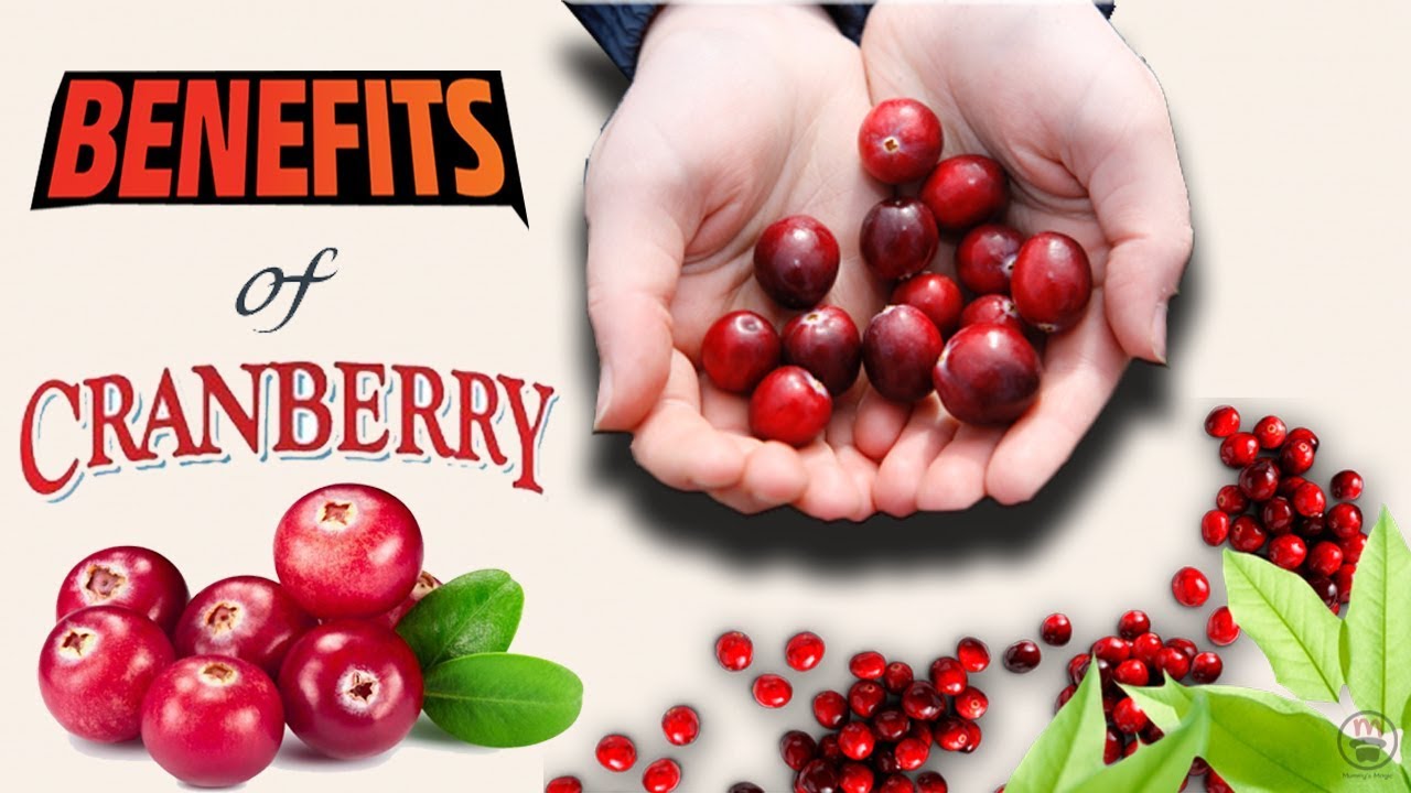 Khushk Cranberry Ke Fawaid: Khawateen, Mardon Aur Jild Ke Liye Ahem Maloomat - Benefits of Dried Cranberries: For Women, Men, and Skin