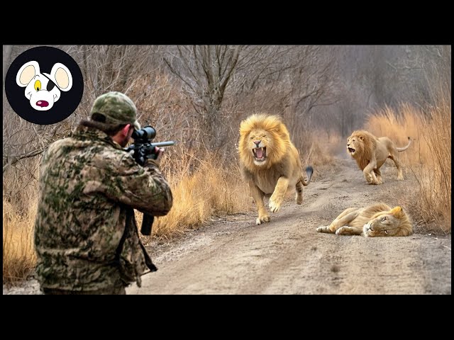 The Thrill of African Hunting: Kis Tarah Kisan Aur Shikari Sher, Hiran Aur Bandar Ka Muqabla Karte Hain