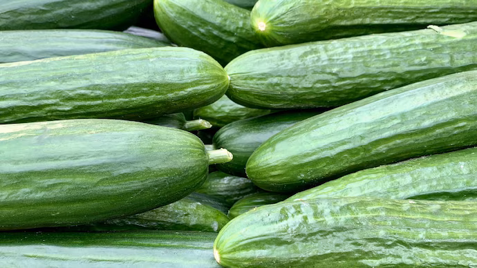 Cucumber health benefits: 7 ways they boost your wellness naturally urdu - کھیرے
