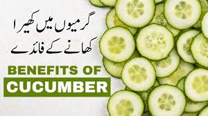 10 Cucumber (Kheera) Benefits to Keep You Cool in Summer - 10 کھیرا (کھیرا) گرمیوں میں آپ کو ٹھنڈا رکھنے کے فائدے