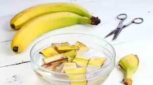 how to use banana peel for hair growth in summer - گرمیوں میں بالوں کی نشوونما کے لیے کیلے کے چھلکے کا استعمال کیسے کریں؟