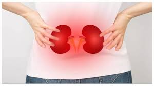 7 common habits that severely damage the kidneys - گردوں کو شدید نقصان پہنچانے والی 7 عام عادتیں
