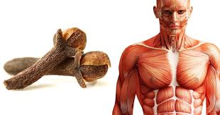 what would happen if ou chewed one clove daily - اگر آپ روزانہ ایک لونگ چبائیں تو کیا ہوگا؟