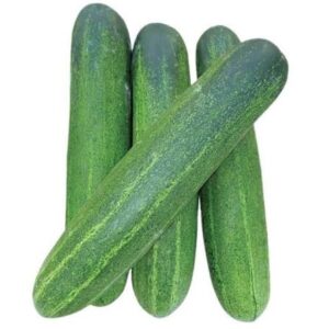 Cucumber, Cucumber Benefits, Healthy Vegetables, Hydration Foods, Weight Loss Foods, Digestive Health, Blood Sugar Control, Antioxidant Foods, Nutrition Guide, Healthy Lifestyle, Cucumber Nutrition, Cucumber for Weight Loss, Cucumber Hydration, Cucumber Antioxidants, Cucumber Digestive Benefits, Cucumber Sugar Control 